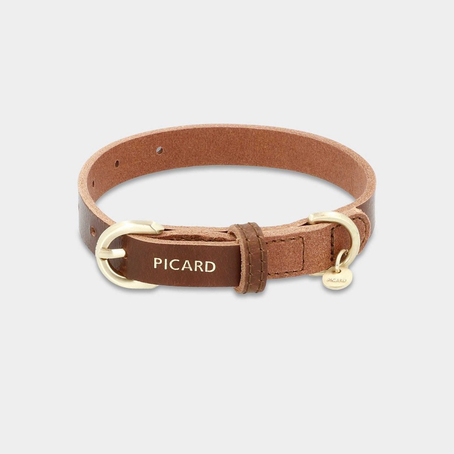 Kleinlederwaren PICARD Haustier-Accessoires | Hundehalsband Dog Collar Susi Grose Xs R124